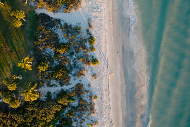 Florida Sick Leave Laws: Key Facts for Employers