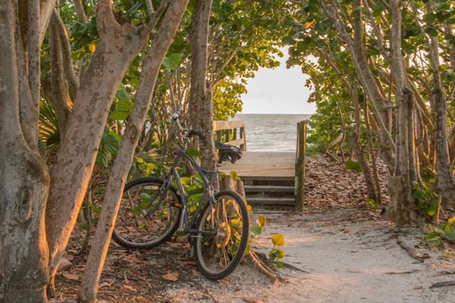 FMLA Florida Law Explained for Employers