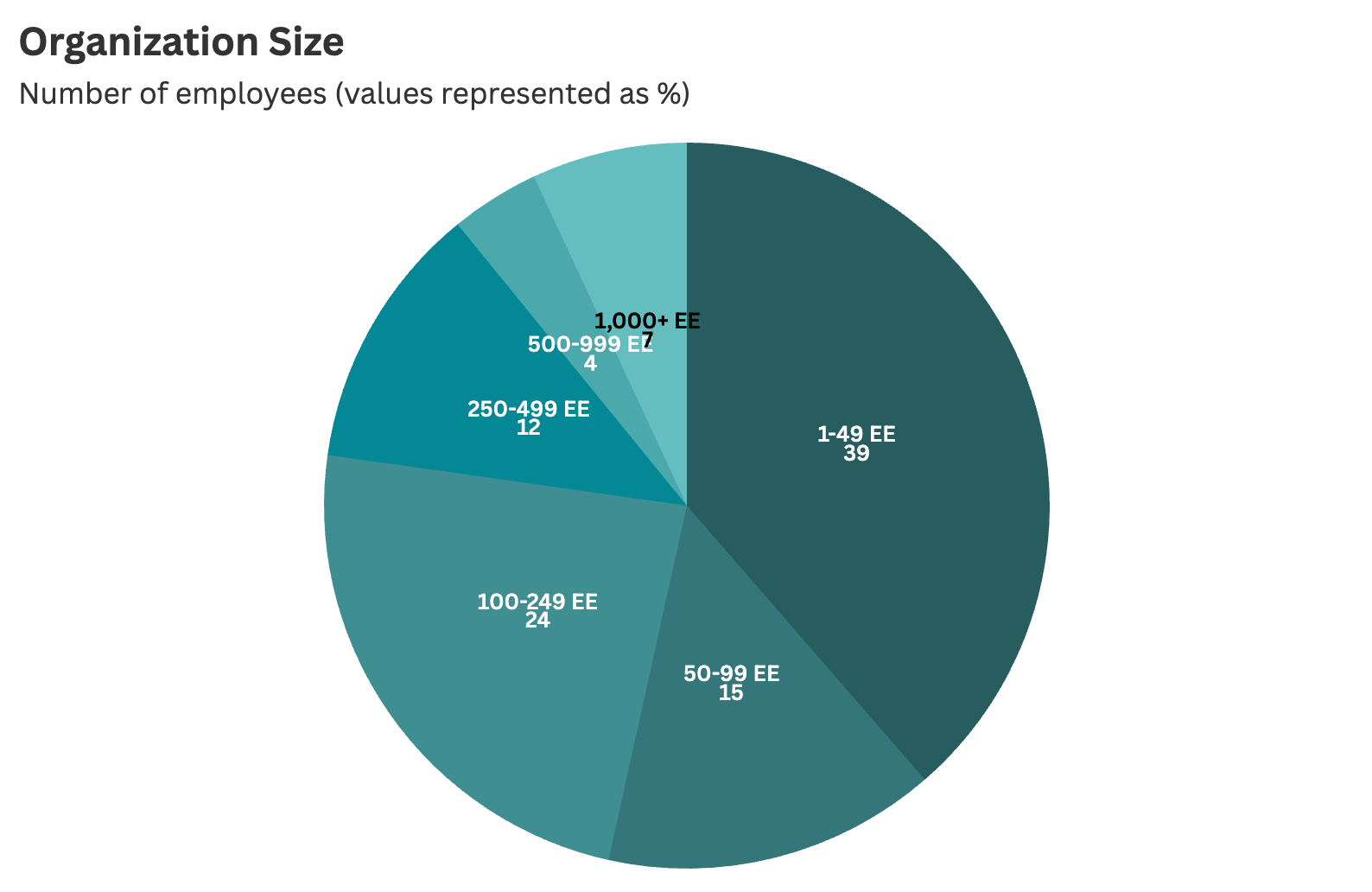 organization size